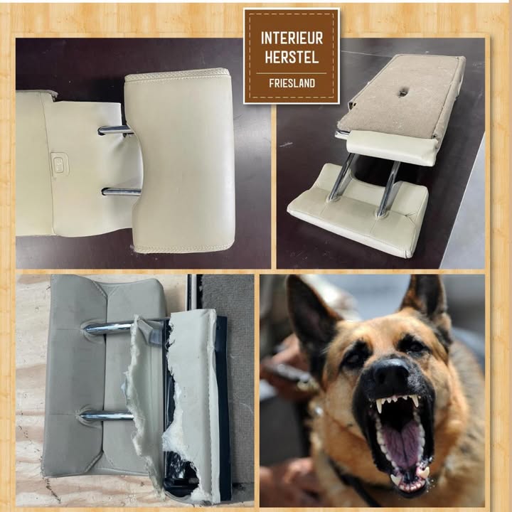 Interieurherstel Friesland